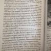 La tortue sauvage ou tortue d'Hermann – Image 3