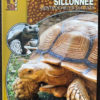 La tortue sillonnée: Centrochelys sulcata