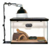 Bras de suspension "LAMP STAND Reptile" ZOOMED® – Image 2