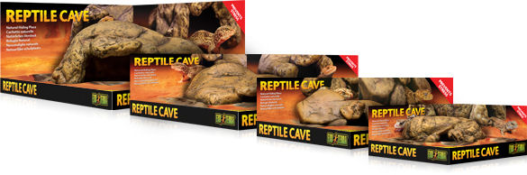 Repas De Reptile, Boîte De Cave De Peau De Reptile Cachette En