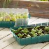 Set potager 24 compartiments et pastilles de tourbe