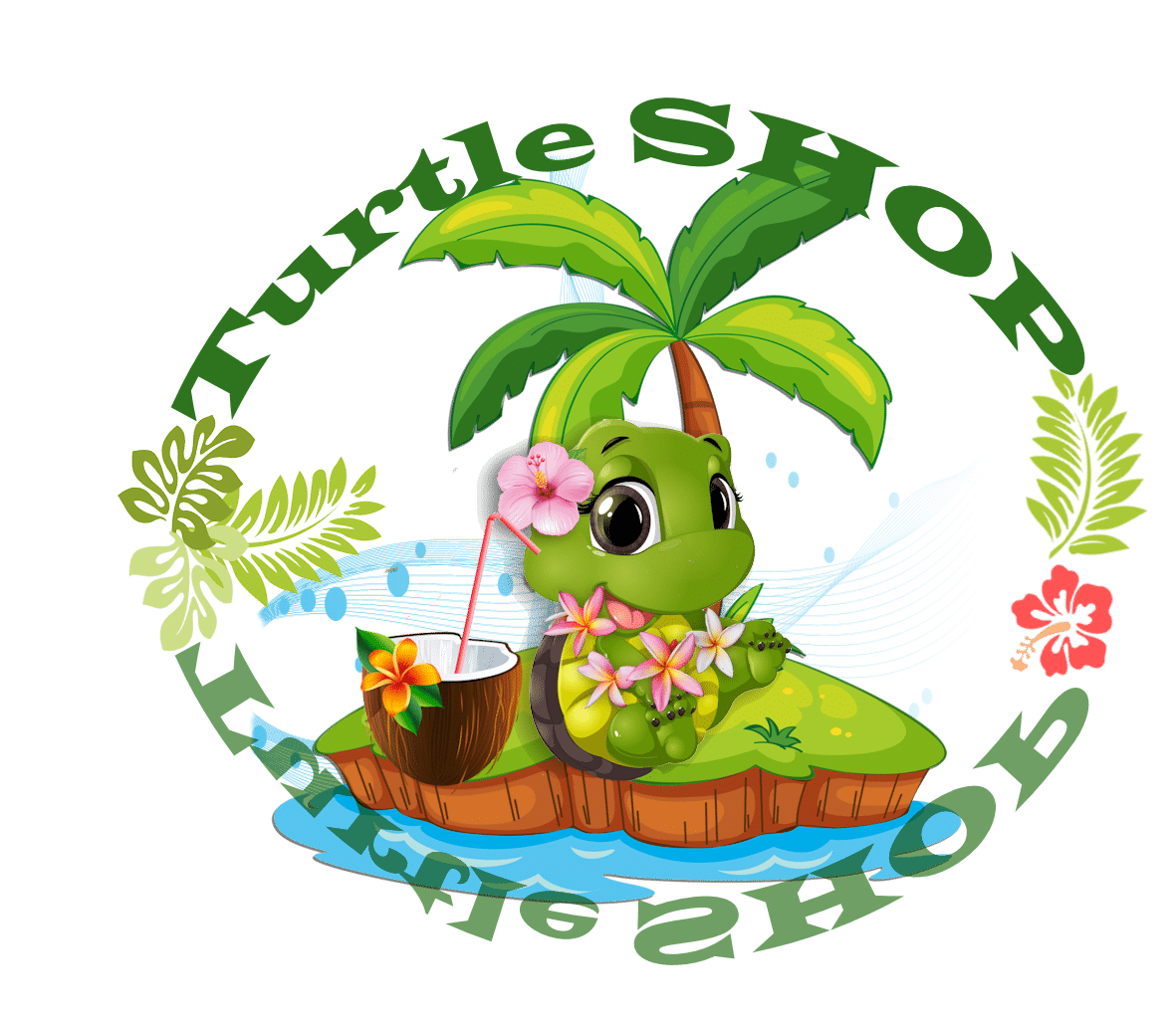 Produits Archive Turtle SHOP La boutique dédiée aux tortues Turtle SHOP