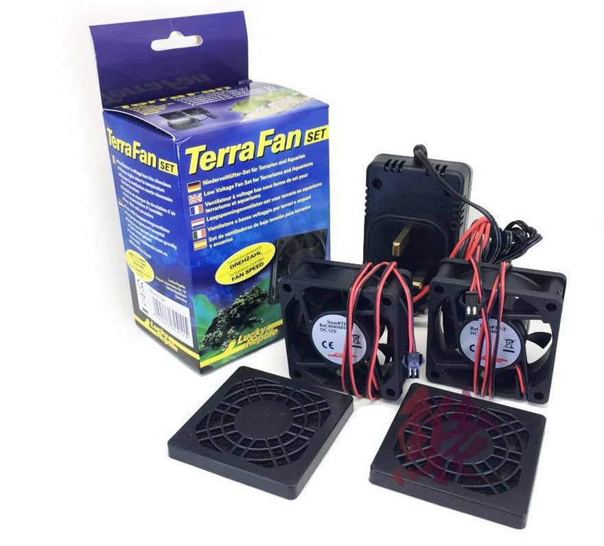 Terra Fan Set" pour terrarium LUCKY REPTILE® – Turtle SHOP