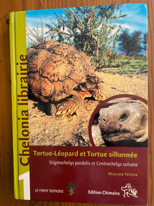 Tortue-Léopard et Tortue Sillonnée de Holger Vetter
